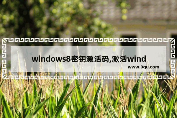 windows8密钥激活码,激活windows8.1密钥