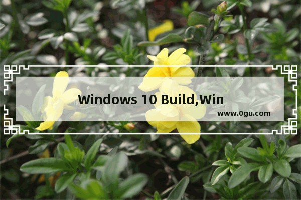 Windows 10 Build,Windows设计