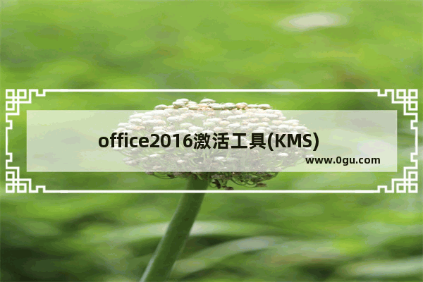 office2016激活工具(KMS) V10.2.0,kms激活工具激活office2013