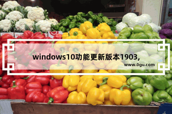 windows10功能更新版本1903,针对win10的功能更新,版本1903安装失败