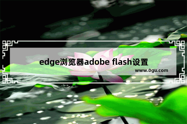 edge浏览器adobe flash设置,microsoft edge怎么更新flash