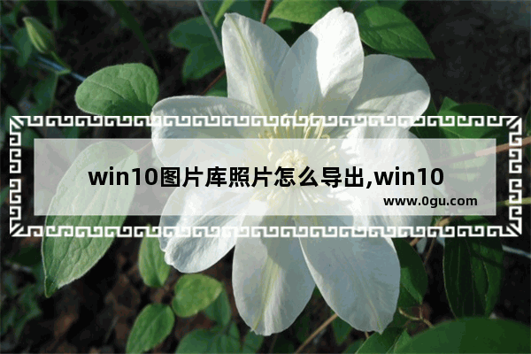 win10图片库照片怎么导出,win10图片下载