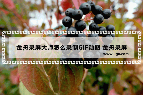 金舟录屏大师怎么录制GIF动图 金舟录屏大师录制GIF视频方法