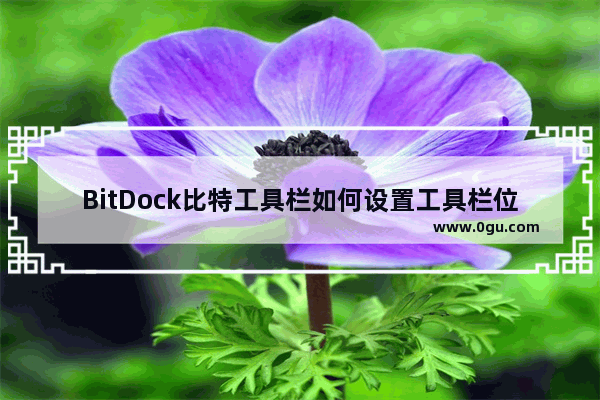 BitDock比特工具栏如何设置工具栏位置 BitDock比特工具栏设置工具栏位置的方法