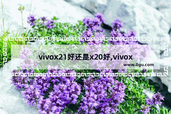 vivox21好还是x20好,vivox21跟x20区别