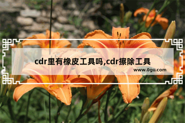 cdr里有橡皮工具吗,cdr擦除工具