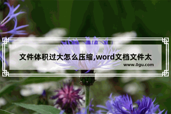 文件体积过大怎么压缩,word文档文件太大怎么压缩