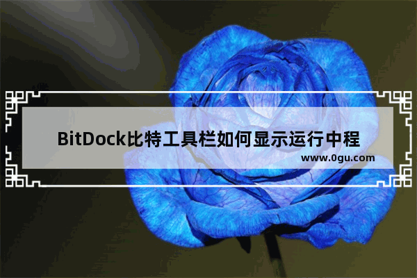 BitDock比特工具栏如何显示运行中程序 BitDock比特工具栏显示运行中程序的方法