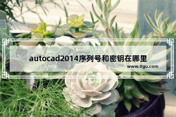 autocad2014序列号和密钥在哪里,autocad2014序列号和密钥和激活码怎么来