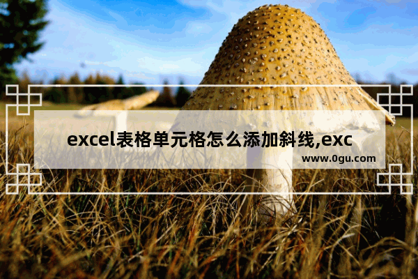 excel表格单元格怎么添加斜线,excel单元格中如何加斜线