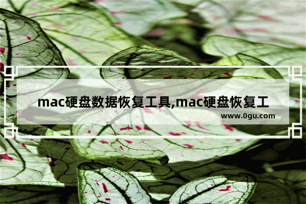 mac硬盘数据恢复工具,mac硬盘恢复工具