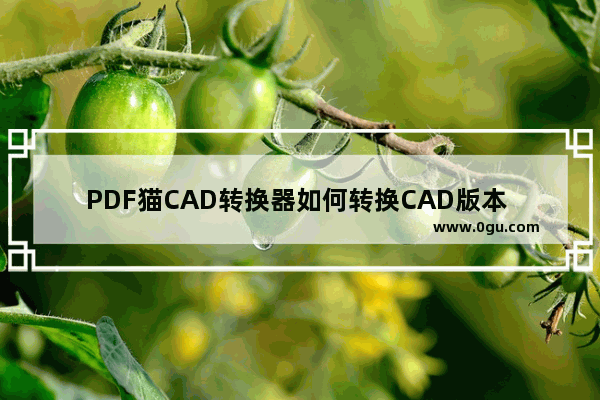 PDF猫CAD转换器如何转换CAD版本 PDF猫CAD转换器转换CAD版本的方法