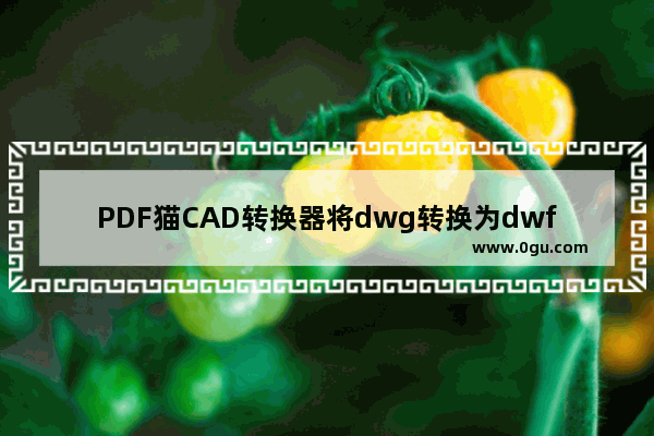 PDF猫CAD转换器将dwg转换为dwf格式方法 PDF猫CAD转换器如何将dwg转换为dwf