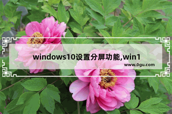 windows10设置分屏功能,win10系统分屏设置方法