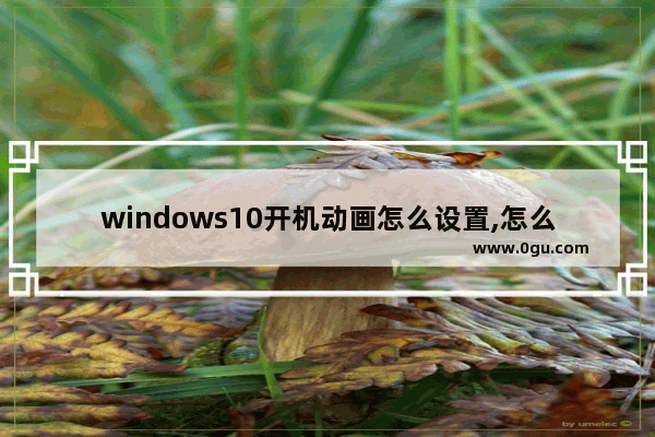 windows10开机动画怎么设置,怎么设置开机动画win10