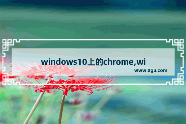 windows10上的chrome,win10不能用谷歌