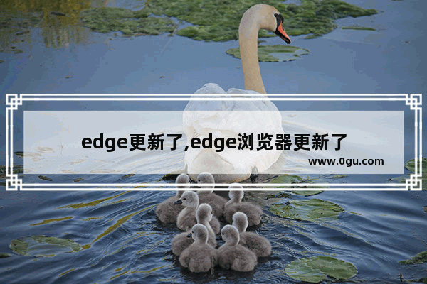 edge更新了,edge浏览器更新了