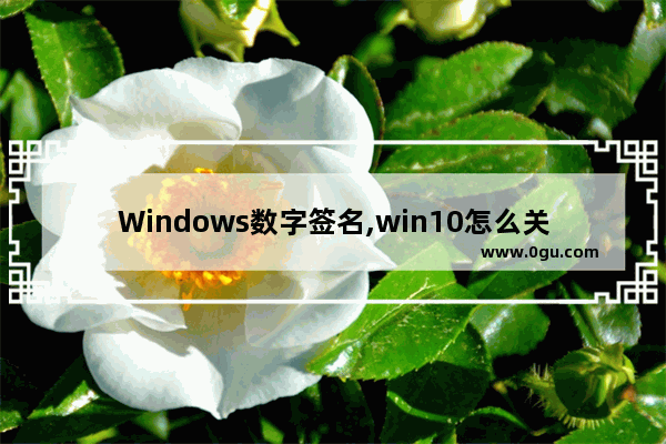 Windows数字签名,win10怎么关闭数字签名