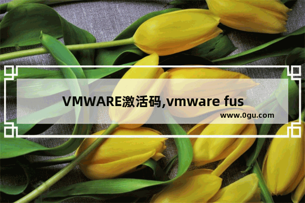 VMWARE激活码,vmware fusion 激活