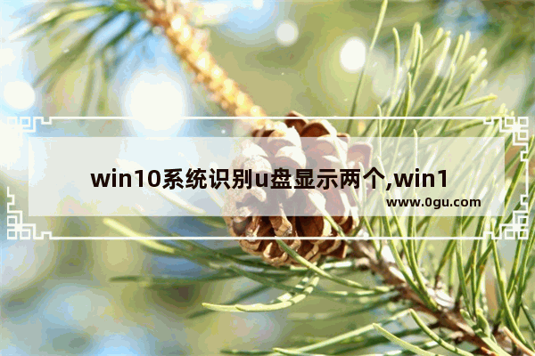 win10系统识别u盘显示两个,win10双硬盘盘符交错 1