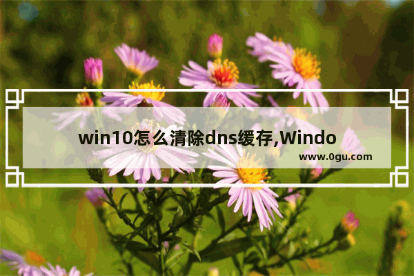 win10怎么清除dns缓存,Windows怎么清理dns缓存信息 