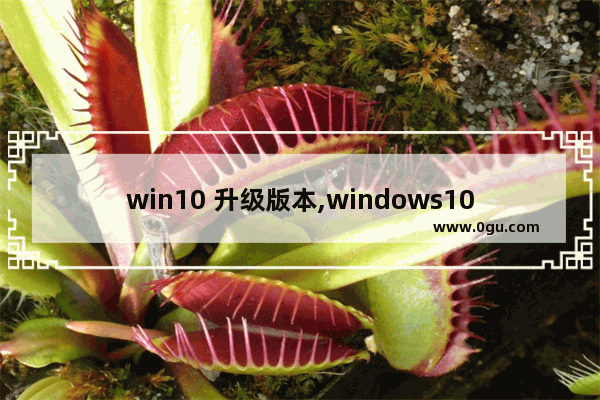 win10 升级版本,windows10升级新版本