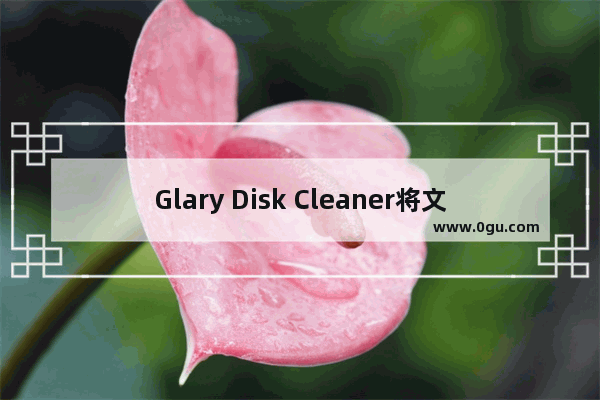 Glary Disk Cleaner将文件添加到忽略列表的方法 Glary Disk Cleaner怎么避免重要文件被清理