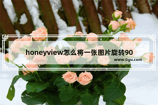 honeyview怎么将一张图片旋转90度 honeyview设置一张图片旋转90°方法