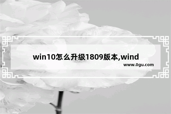 win10怎么升级1809版本,windows10 1803如何升级到1903