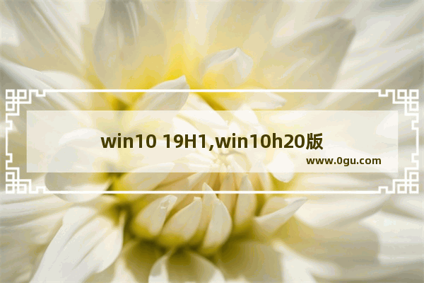 win10 19H1,win10h20版本bug