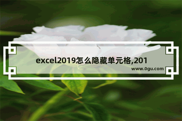 excel2019怎么隐藏单元格,2019excel隐藏在哪