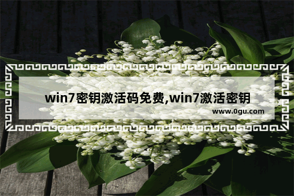 win7密钥激活码免费,win7激活密钥永久激活码