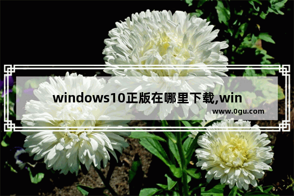 windows10正版在哪里下载,win10怎么在官方下载