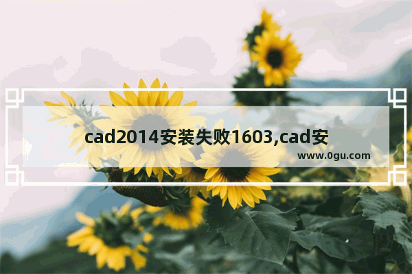 cad2014安装失败1603,cad安装出现1603错误怎么办