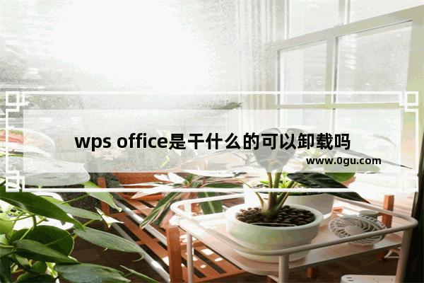 wps office是干什么的可以卸载吗,完全卸载wps office软件,应该如何操作