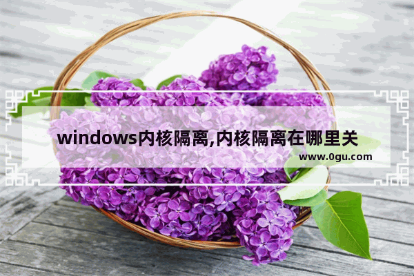 windows内核隔离,内核隔离在哪里关闭