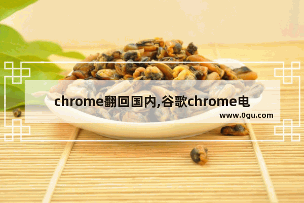 chrome翻回国内,谷歌chrome电脑版