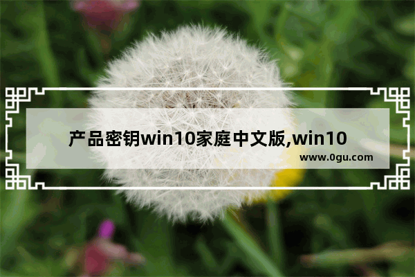 产品密钥win10家庭中文版,win10家庭版密匙安装在专业版上