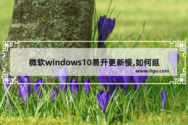 微软windows10易升更新慢,如何延长windows10系统更新