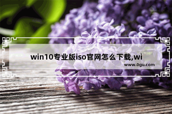 win10专业版iso官网怎么下载,win10.iso下载