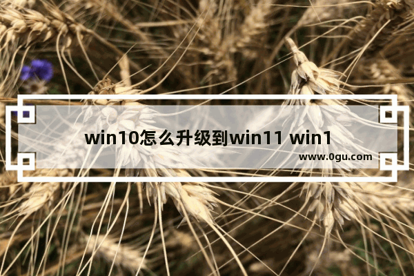 win10怎么升级到win11 win10系统升级到win11系统的方法