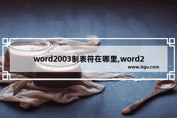 word2003制表符在哪里,word2003怎么制表格教程