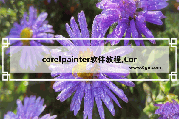 corelpainter软件教程,Corel Painter下载