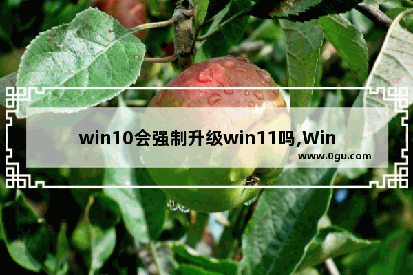 win10会强制升级win11吗,Windows11强制升级