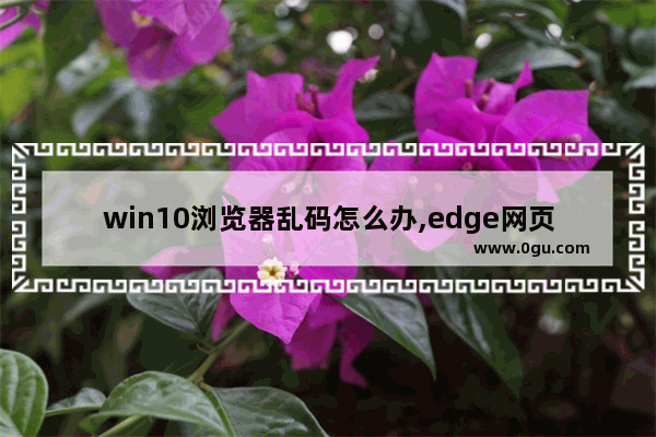 win10浏览器乱码怎么办,edge网页乱码