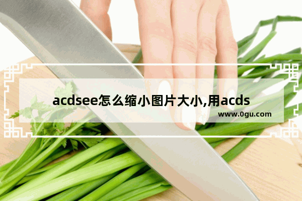 acdsee怎么缩小图片大小,用acdsee调整图片大小的步骤