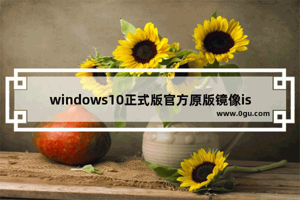 windows10正式版官方原版镜像iso下载地址,win10镜像iso文件下载