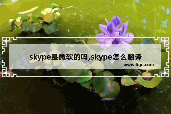 skype是微软的吗,skype怎么翻译语言