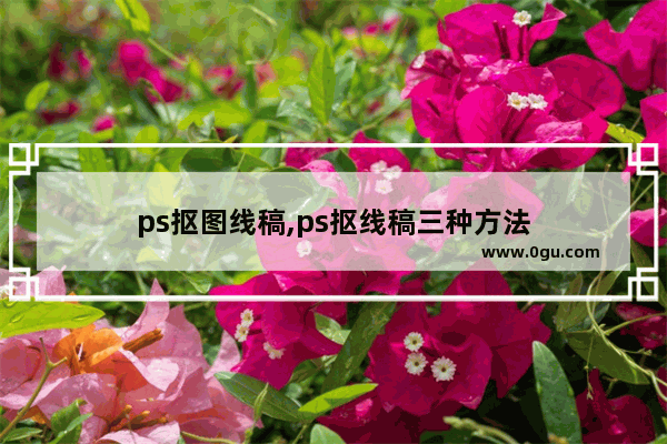 ps抠图线稿,ps抠线稿三种方法