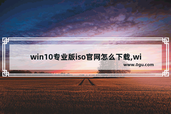 win10专业版iso官网怎么下载,win10.iso下载 2